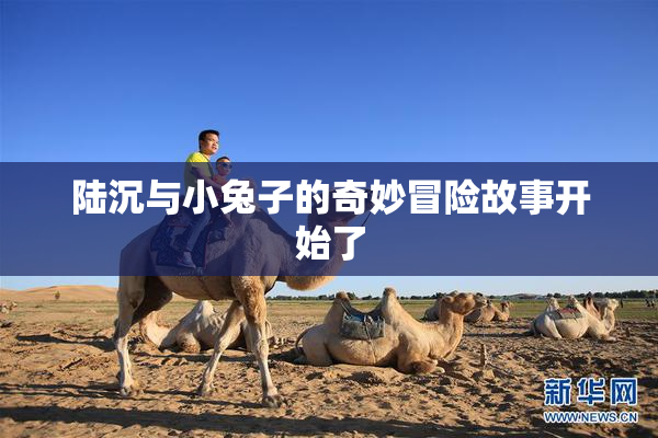陆沉与小兔子的奇妙冒险故事开始了