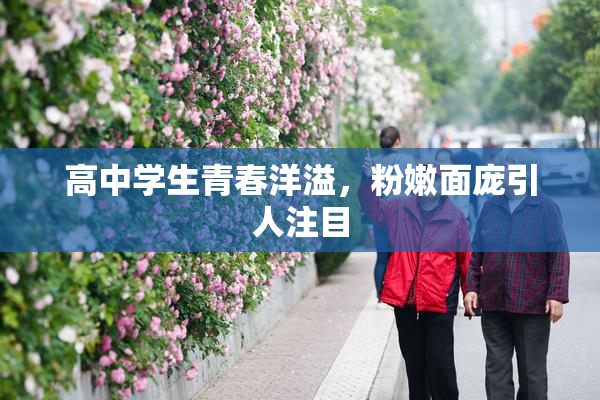 高中学生青春洋溢，粉嫩面庞引人注目