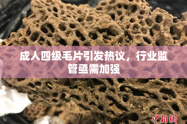 成人四级毛片引发热议，行业监管亟需加强