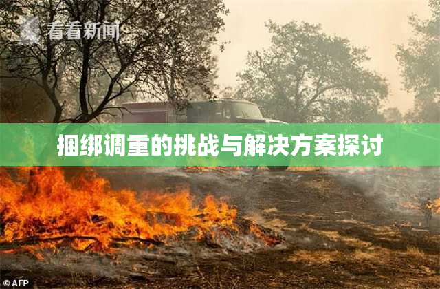捆绑调重的挑战与解决方案探讨