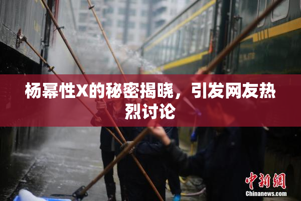 杨幂性X的秘密揭晓，引发网友热烈讨论