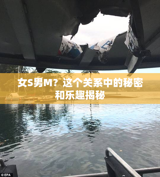 女S男M？这个关系中的秘密和乐趣揭秘