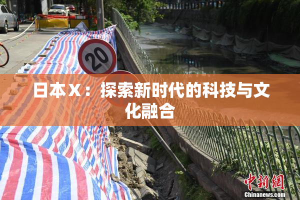 日本Ⅹ：探索新时代的科技与文化融合