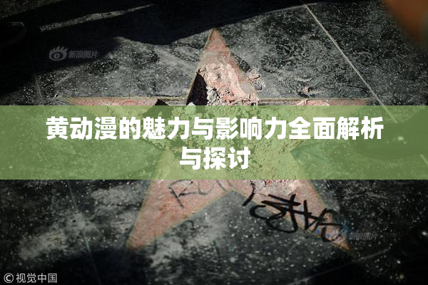 黄动漫的魅力与影响力全面解析与探讨