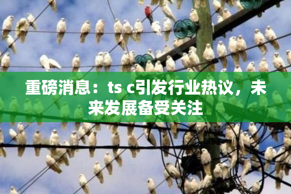 重磅消息：ts c引发行业热议，未来发展备受关注