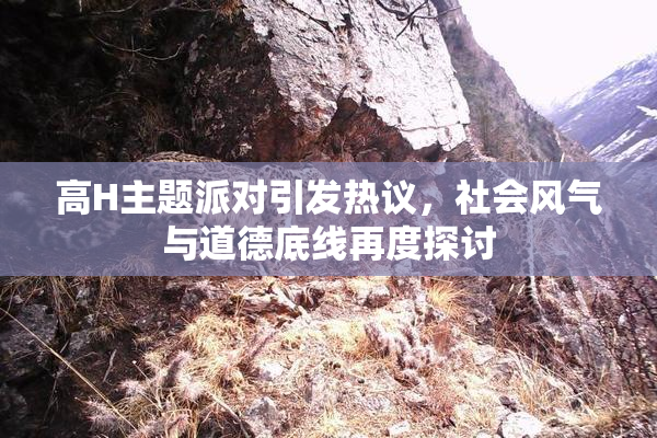 高H主题派对引发热议，社会风气与道德底线再度探讨