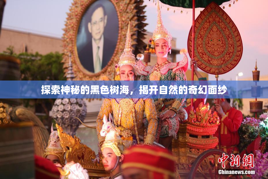 探索神秘的黑色树海，揭开自然的奇幻面纱