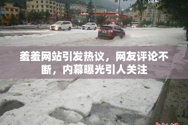 羞羞网站引发热议，网友评论不断，内幕曝光引人关注