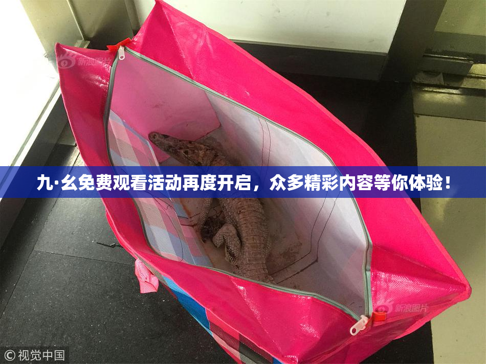九·幺免费观看活动再度开启，众多精彩内容等你体验！