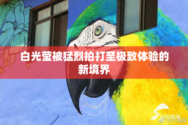 白光莹被猛烈拍打至极致体验的新境界