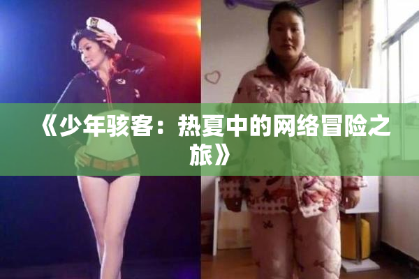 《少年骇客：热夏中的网络冒险之旅》