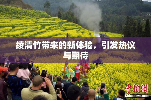 绫清竹带来的新体验，引发热议与期待