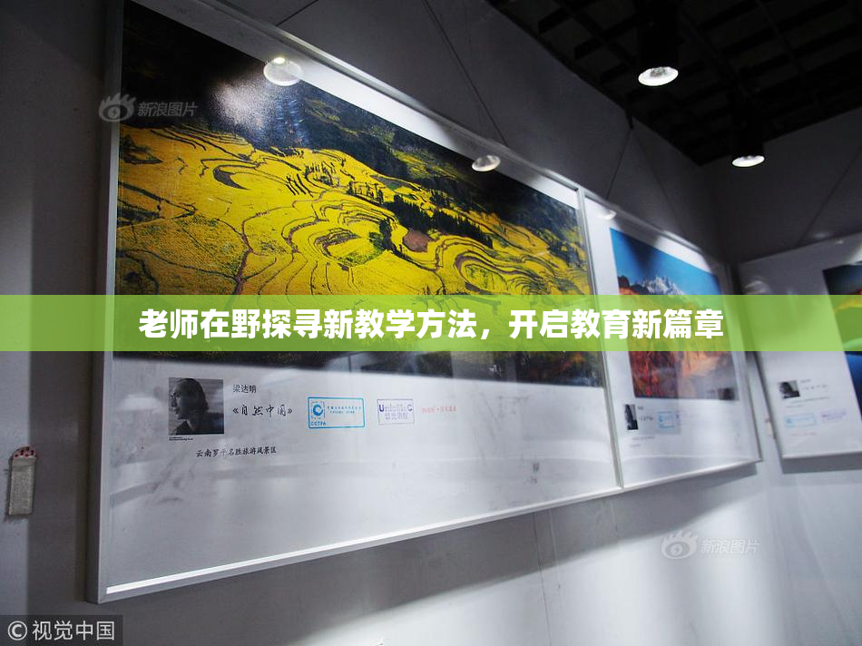 老师在野探寻新教学方法，开启教育新篇章