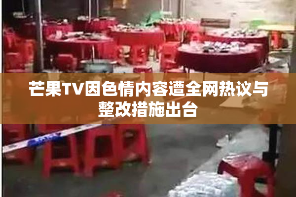 芒果TV因色情内容遭全网热议与整改措施出台