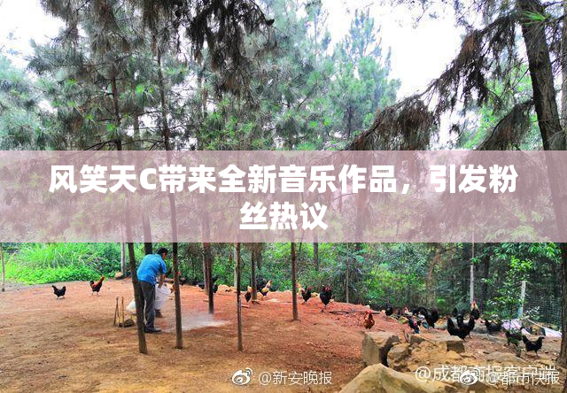 风笑天C带来全新音乐作品，引发粉丝热议