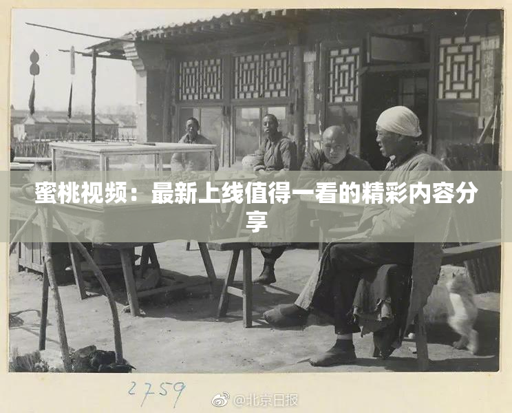 蜜桃视频：最新上线值得一看的精彩内容分享