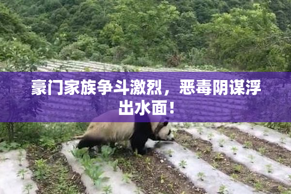 豪门家族争斗激烈，恶毒阴谋浮出水面！
