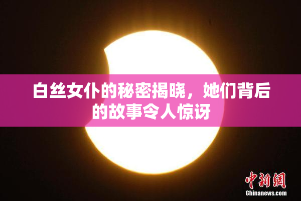 白丝女仆的秘密揭晓，她们背后的故事令人惊讶