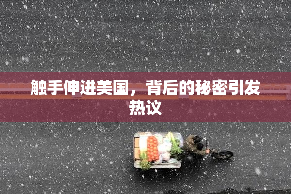 触手伸进美国，背后的秘密引发热议