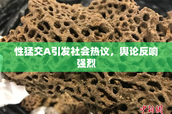 性猛交A引发社会热议，舆论反响强烈