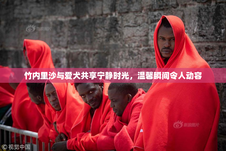 竹内里沙与爱犬共享宁静时光，温馨瞬间令人动容