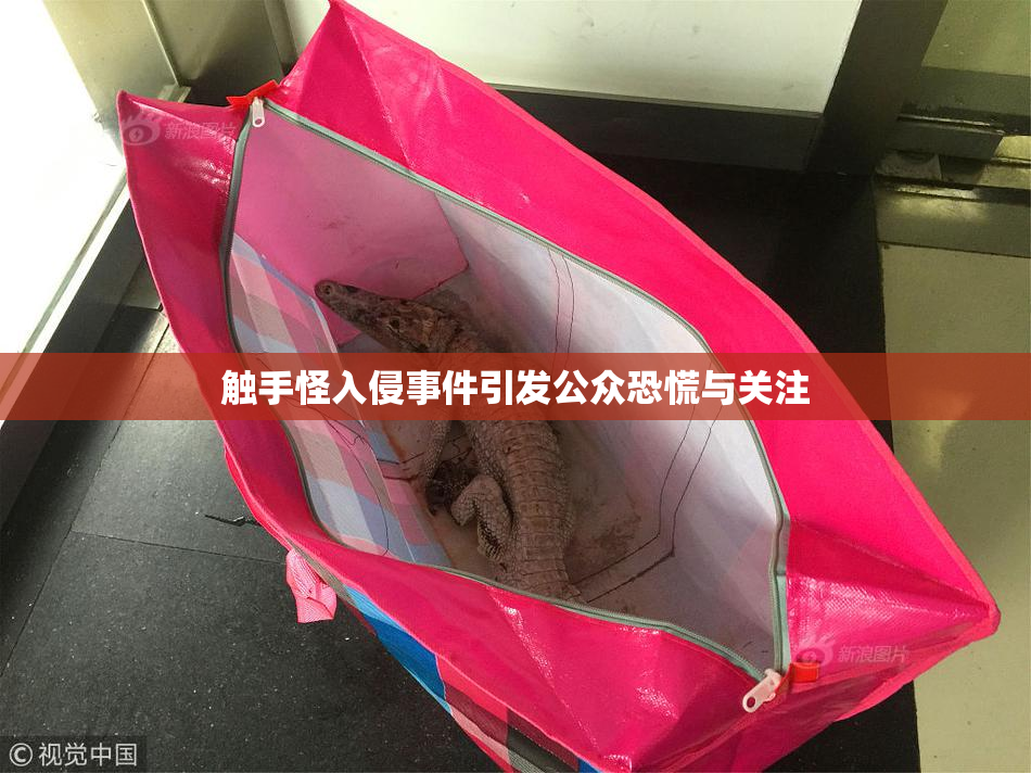 触手怪入侵事件引发公众恐慌与关注