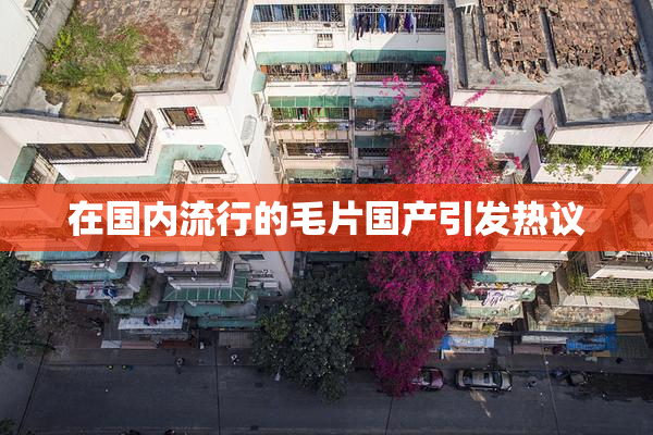 在国内流行的毛片国产引发热议