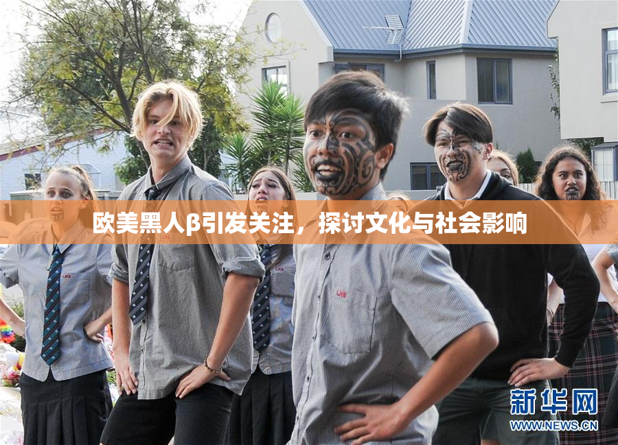 欧美黑人β引发关注，探讨文化与社会影响