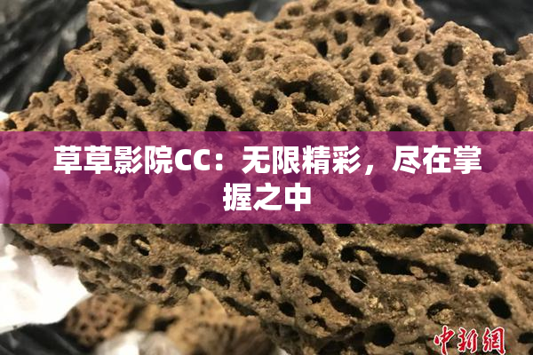 草草影院CC：无限精彩，尽在掌握之中