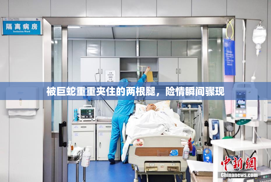 被巨蛇重重夹住的两根腿，险情瞬间骤现