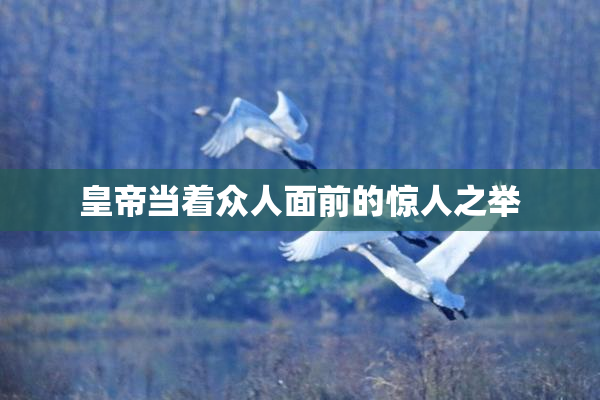 皇帝当着众人面前的惊人之举