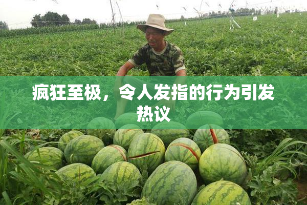 疯狂至极，令人发指的行为引发热议