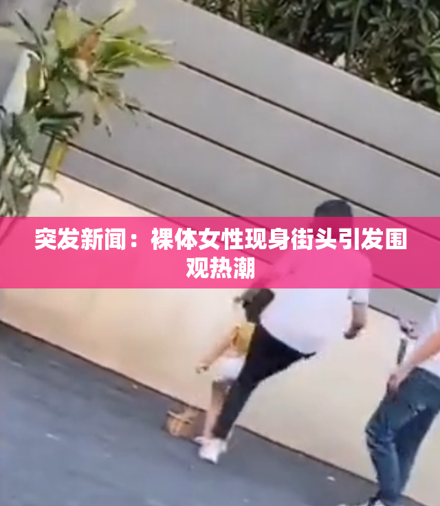 突发新闻：裸体女性现身街头引发围观热潮