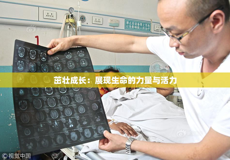 茁壮成长：展现生命的力量与活力