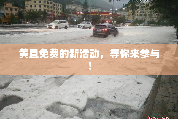 黄且免费的新活动，等你来参与！