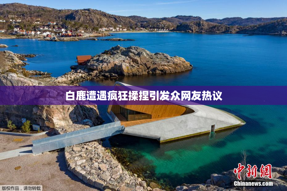 白鹿遭遇疯狂揉捏引发众网友热议