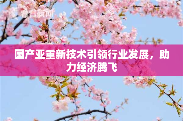 国产亚重新技术引领行业发展，助力经济腾飞