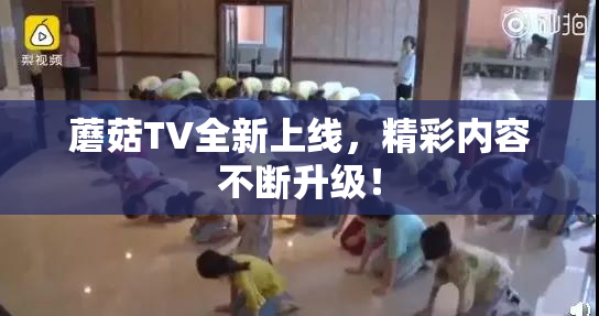 蘑菇TV全新上线，精彩内容不断升级！