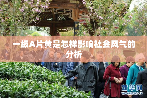 一级A片黄是怎样影响社会风气的分析