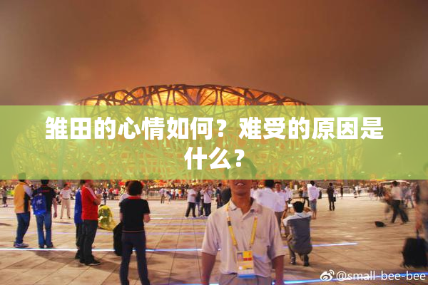 雏田的心情如何？难受的原因是什么？