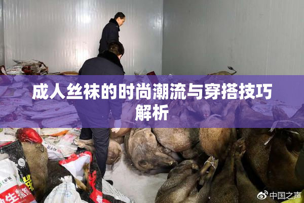 成人丝袜的时尚潮流与穿搭技巧解析