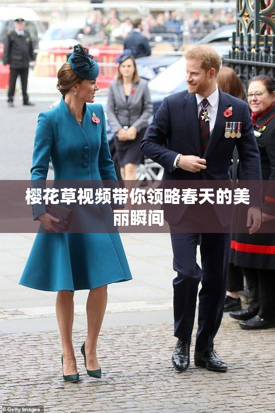 樱花草视频带你领略春天的美丽瞬间
