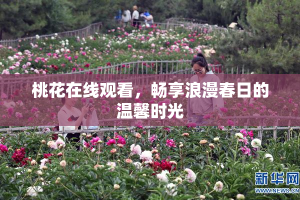 桃花在线观看，畅享浪漫春日的温馨时光