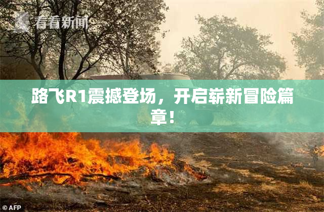 路飞R1震撼登场，开启崭新冒险篇章！