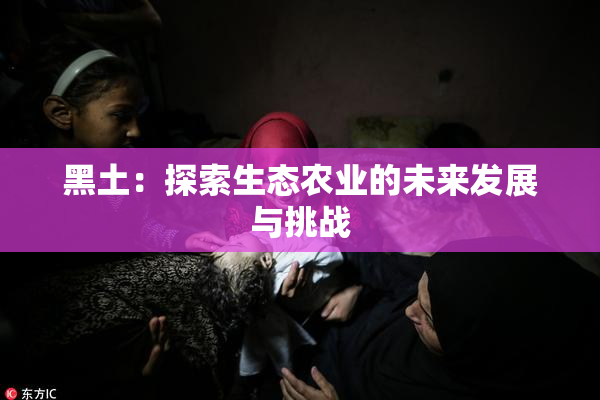 黑土：探索生态农业的未来发展与挑战