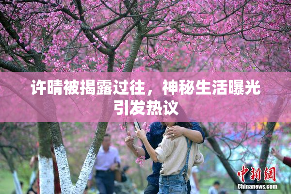 许晴被揭露过往，神秘生活曝光引发热议
