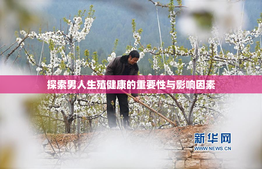 探索男人生殖健康的重要性与影响因素