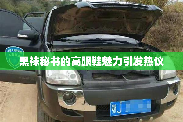 黑袜秘书的高跟鞋魅力引发热议
