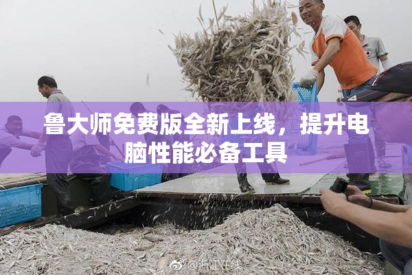 鲁大师免费版全新上线，提升电脑性能必备工具