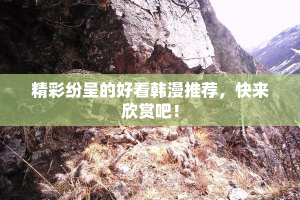 精彩纷呈的好看韩漫推荐，快来欣赏吧！